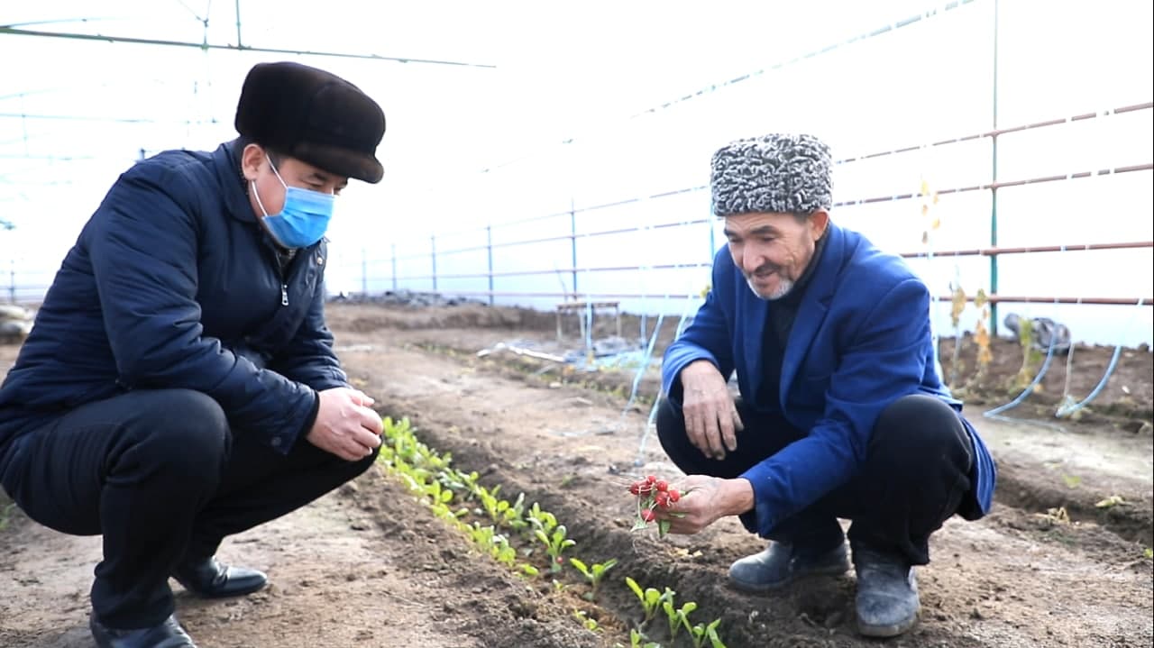 ТУМАНДАГИ БОШ ВАЗИР ҚАБУЛХОНАСИ ТАДБИРКОРЛАР КЎМАКЧИСИГА АЙЛ