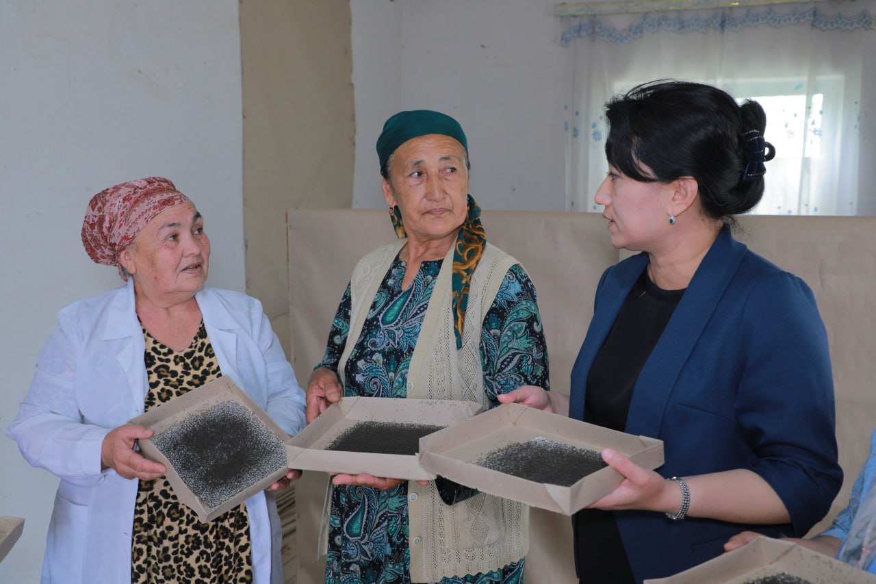 Ипак қурти боқиш ва пилла етиштириш мавсуми уюшқоқликда ўтка
