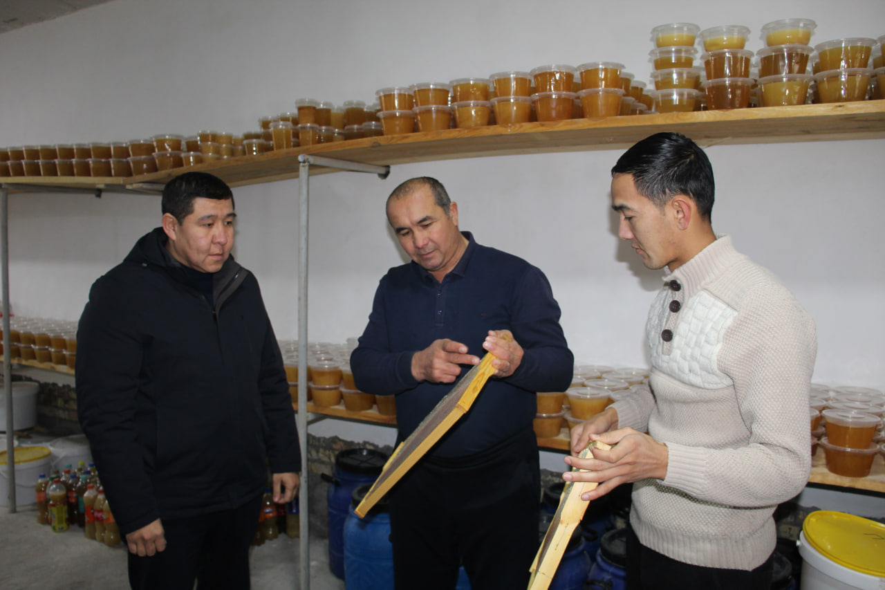 Арна бўйи маҳалласида асаларичилик мактаби шаклланмоқда