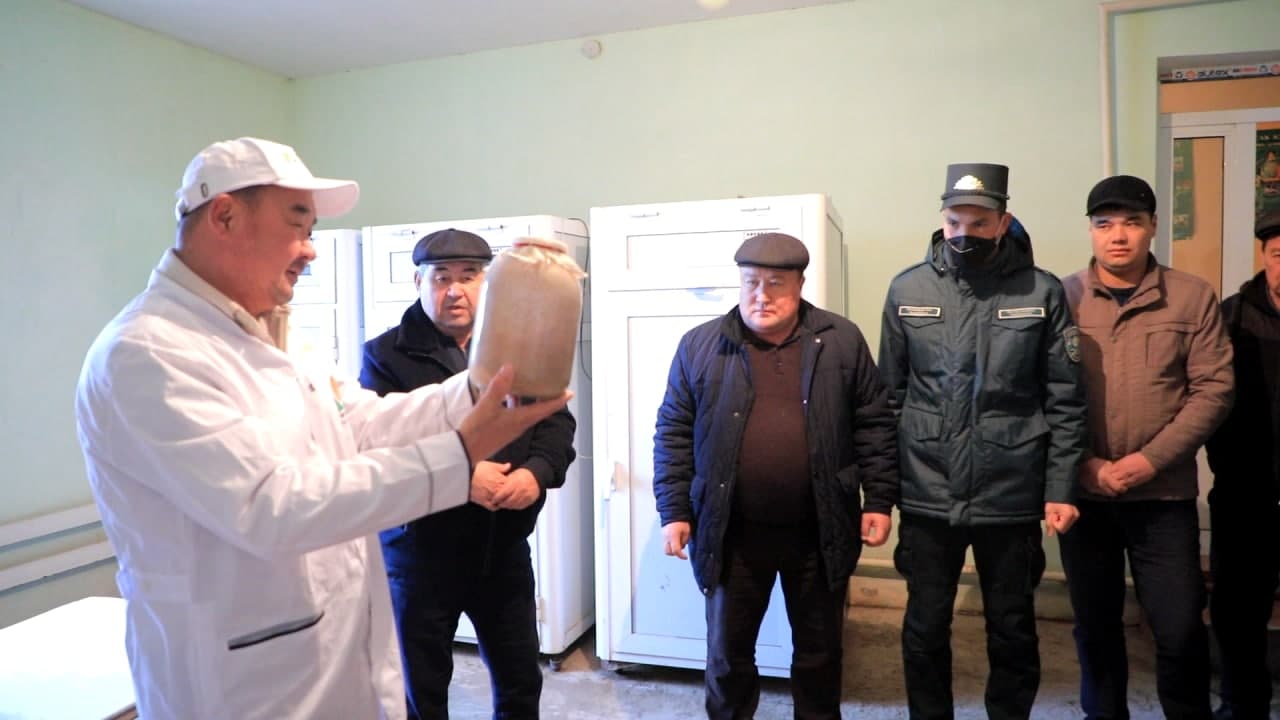 Ўсимликларни биологик ҳимоя қилиш сифати ошади