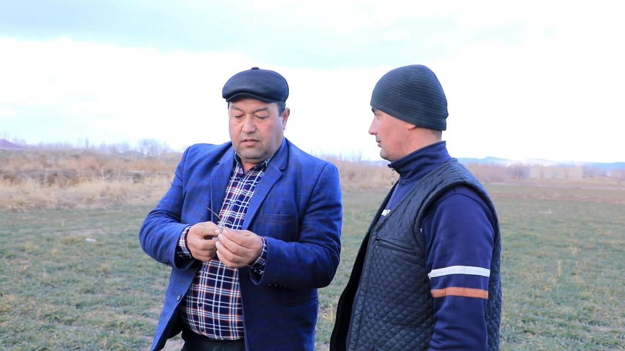 ҒАЛЛАЧИЛИК ДАРОМАДЛИ СОҲАГА АЙЛАНАДИ