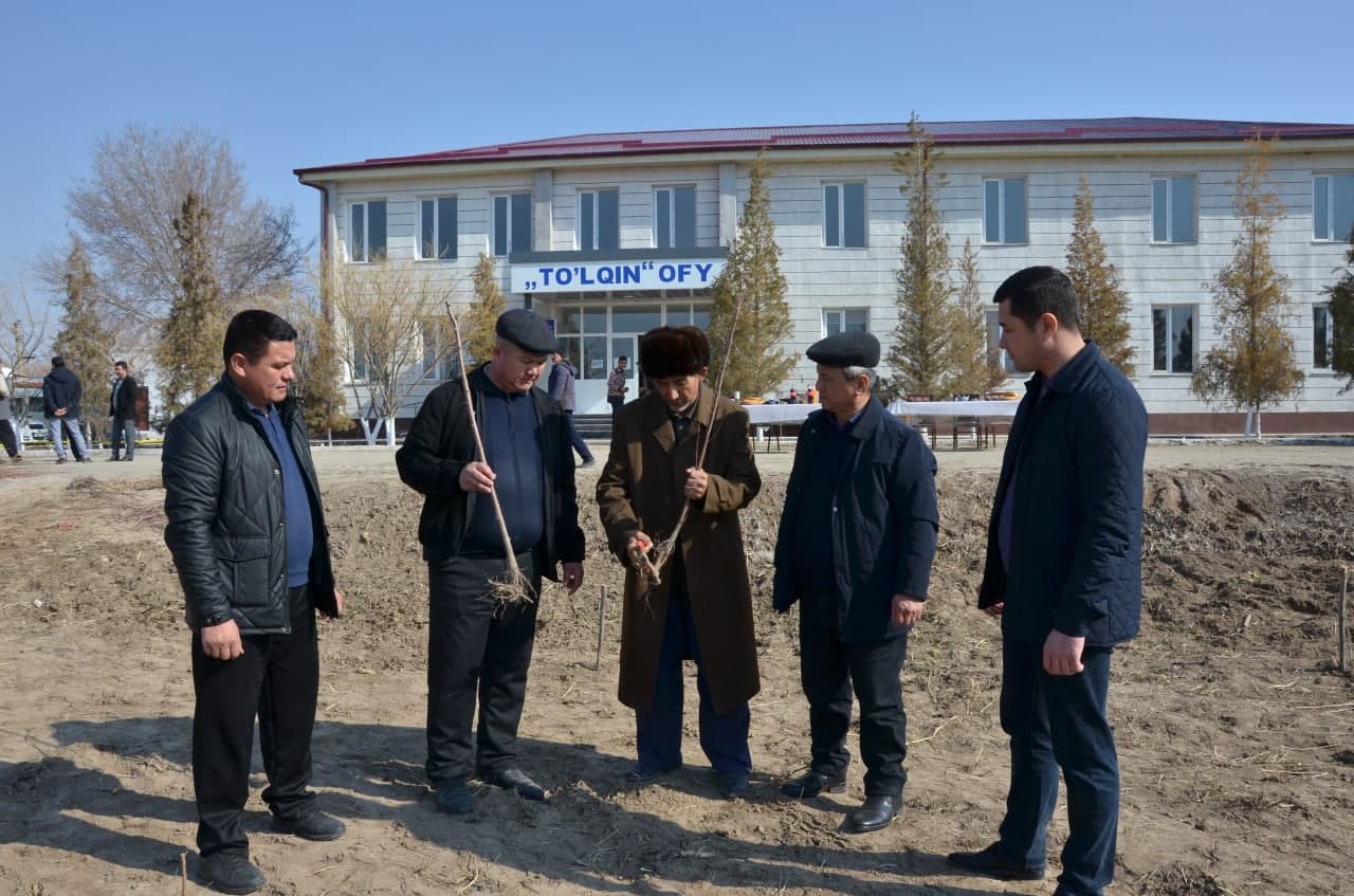 19-20-fevral kunlari “Yashil makon” aktsiyasi doirasidagi ta