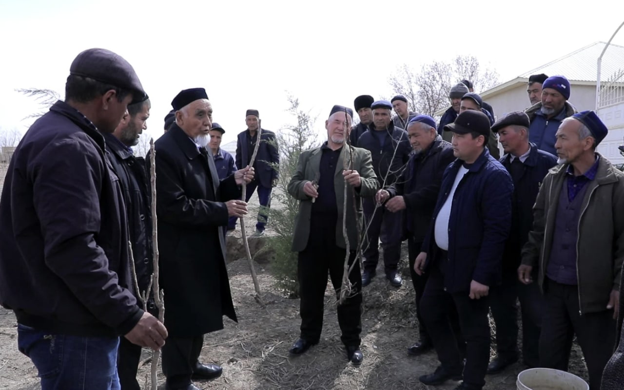 Уйшин овули ҳудудида жойлашган “Полвон бобо” қабристони обод