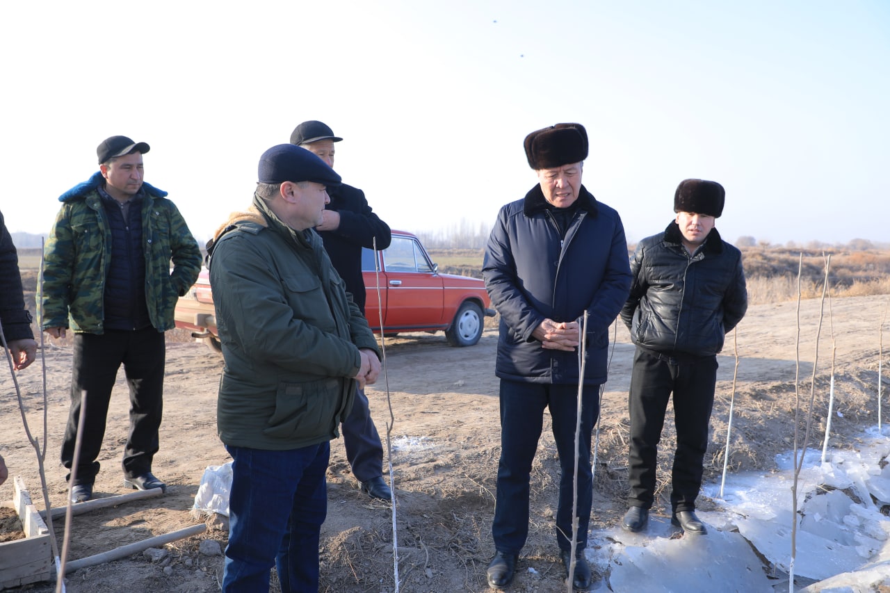 ЎРМОН ФОНДИ РЕСУРСЛАРИДАН САМАРАЛИ ФОЙДАЛАНИШГА БАҒИШЛАНГАН 