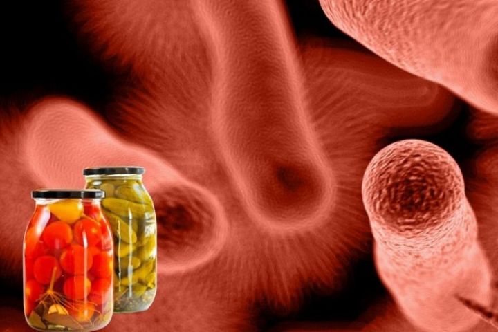 ФАВҚУЛОДДАГИ ОФАТ БЎЛГАН  БОТУЛИЗМ КАСАЛЛИГИДАН ЭҲТИЁТ БЎЛИН