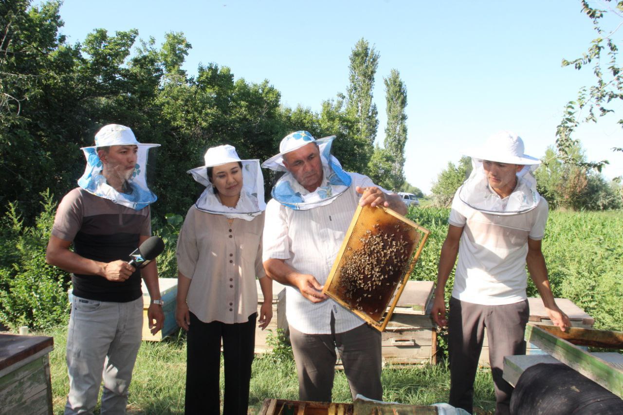 Арна бўйи маҳалласида асаларичилик мактаби шаклланмоқда