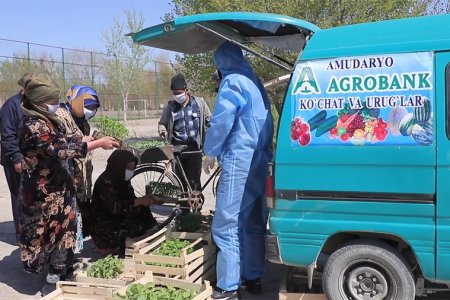 “Agrobank” koʻchatlar yetkazib berdi