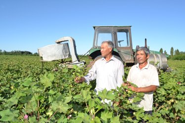 ЗАРАРКУНАНДАЛАРГА ҚАРШИ КУРАШ КУЧАЙТИРИЛАЯПТИ