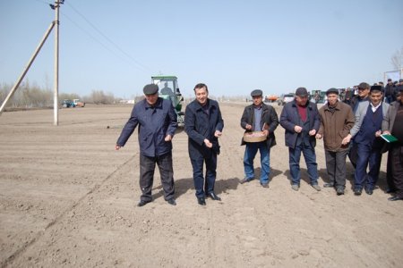 Chigit ekish ishlari boshlandi (Fotogalereya)