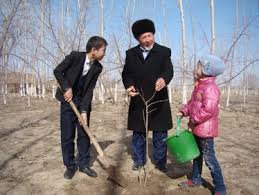 Амударёда ободонлаштириш ва кўкаламзорлаштириш ишлари жадал 