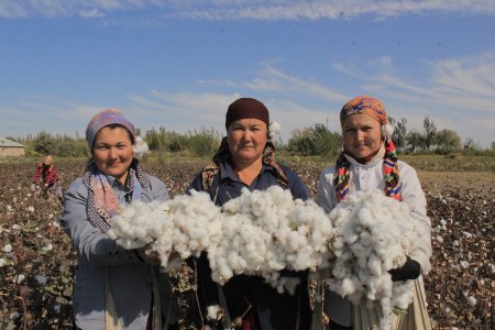 “10 КУНДА ЭНГ КЎП ПАХТА ТЕРГАН ОИЛА” ТАНЛОВ-МУСОБАҚАСИ ЎТКАЗ