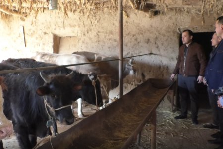 Ишчи гуруҳ туманимиз ёшларининг тадбиркорлик фаолияти билан 