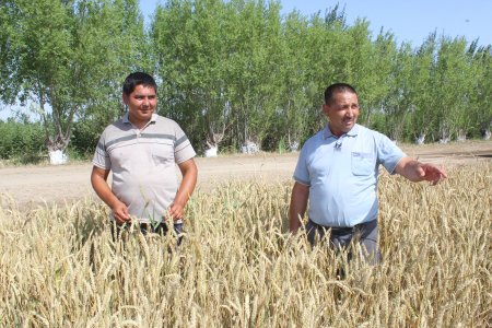 ҒАЛЛА ЎРИМ-ЙИҒИМИГА БАҒИШЛАНГАН КЎРГАЗМАЛИ СЕМИНАР БЎЛИБ ЎТД