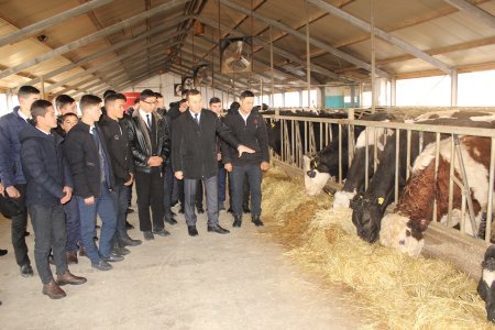 Ҳоким чорвачиликка қизиқувчи ёшлар билан учрашди