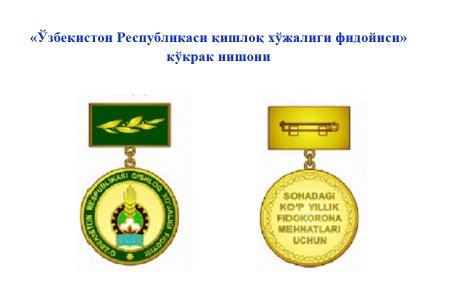 Amudaryo tumanidagi sektorlar rahbarlari “Oʻzbekiston Pespub