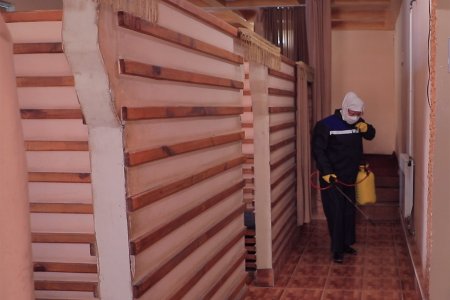 ТУМАНИМИЗДА КОPОНАВИPУСНИНГ ОЛДИНИ ОЛИШГА ҚАPАТИЛГАН ЧОPА-ТАДБИPЛАP КУЧАЙТИPИЛМОҚДА