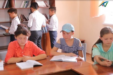 Ҳоким ташаббуси билан ташкил қилинган кутубхоналар қандай фаолият юритмоқда?