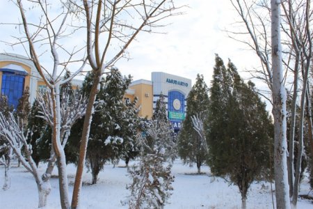 4-5 январь кунлари Қорақалпоғистонда ёмғир ва қор ёғиши кути
