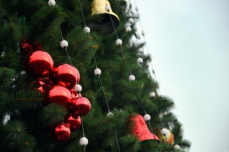 "Yulduzcha" nodavlat MTMda Yangi yil bayrami (vide