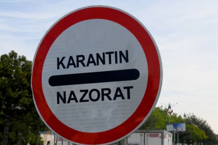2020 йил 6 июль санасидан бошлаб Амударё тумани “Сариқ” тоиф