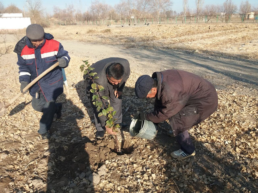 “ЯШИЛ МАКОН” ЛОЙИҲАСИ АСОСИДАГИ “ДОЛЗАРБ 40 КУНЛИК” АКЦИЯСИ 