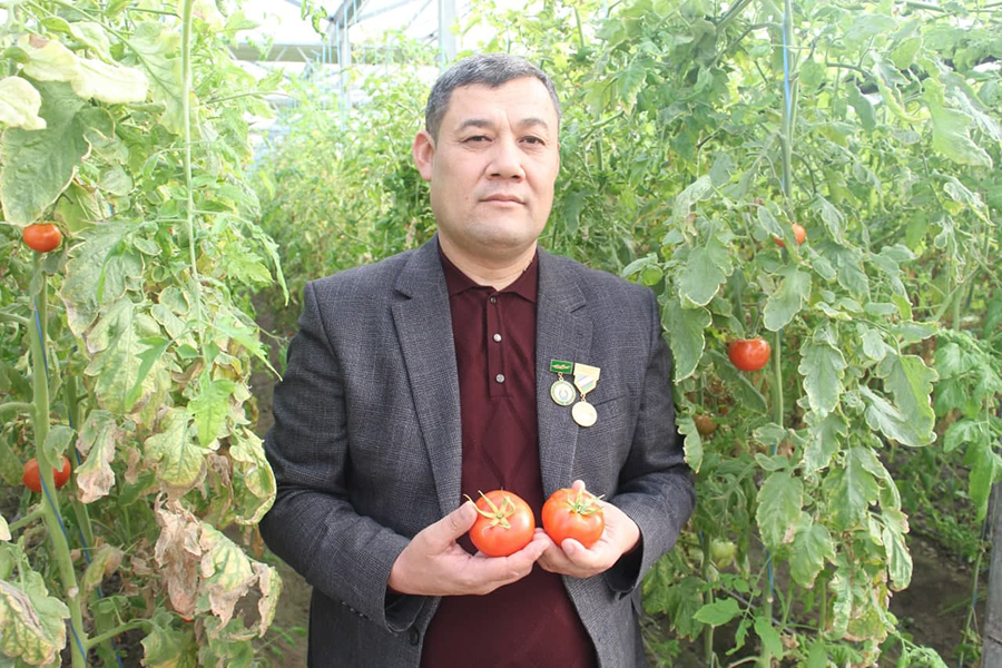 ҲАМЖИҲАТЛИКДА ҚИЛИНГАН МЕҲНАТДА  БАРАКА БЎЛАДИ