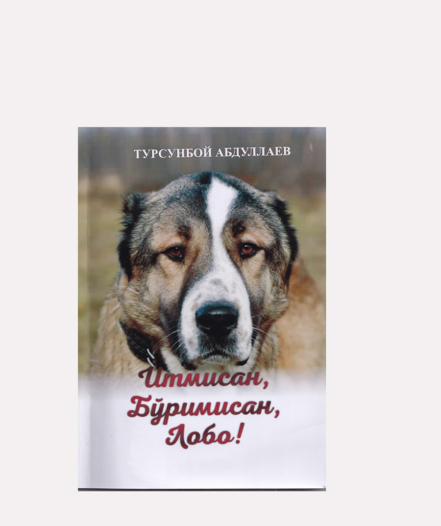 ИЖОДКОРНИНГ КЎНГИЛ МУЛКИДАН ЧИҚҚАН ЯНА БИРТУҲФАСИ