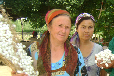 ЮКСАК  ПИЛЛА  ХИРМОНЛАРИ